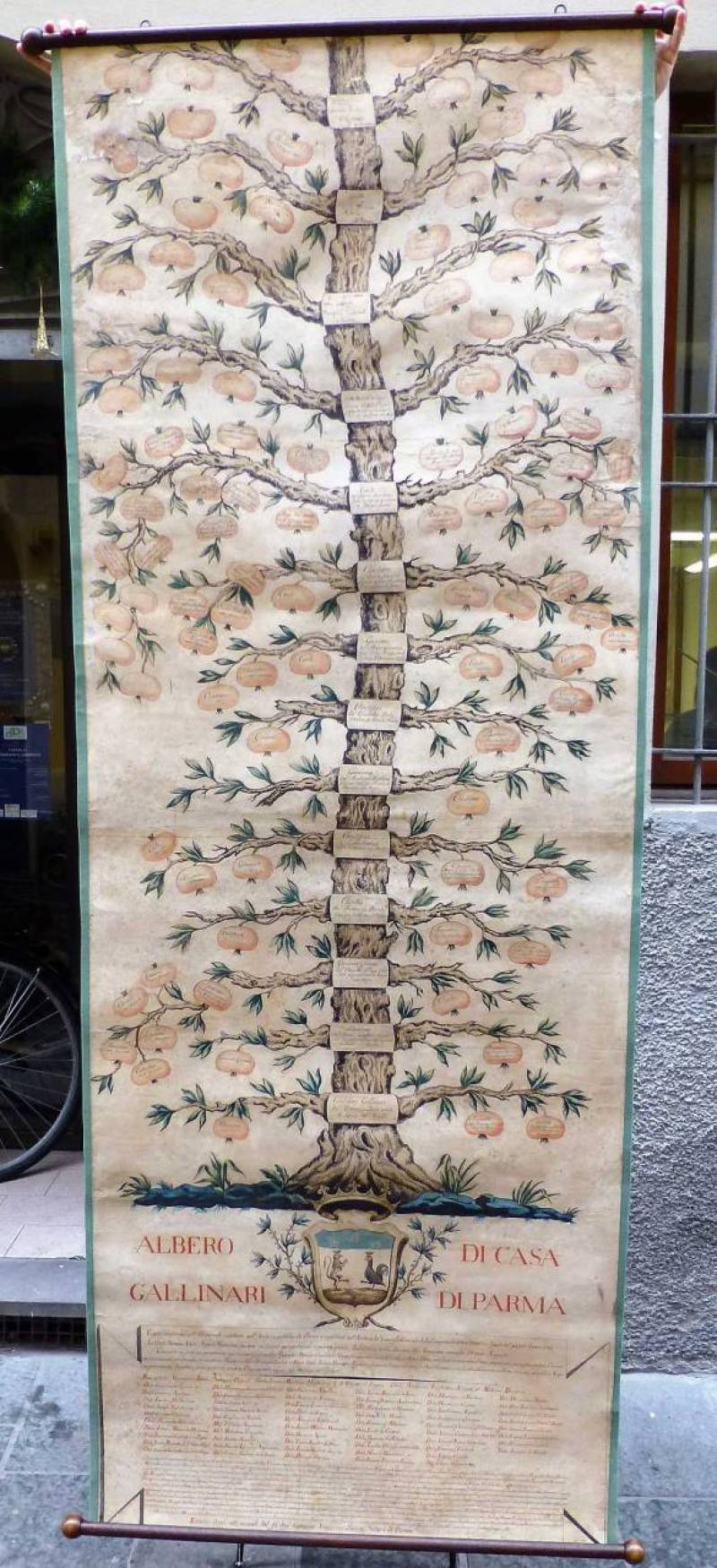 grande-formato-alberogenealogico-02-1024x2242-dopo2