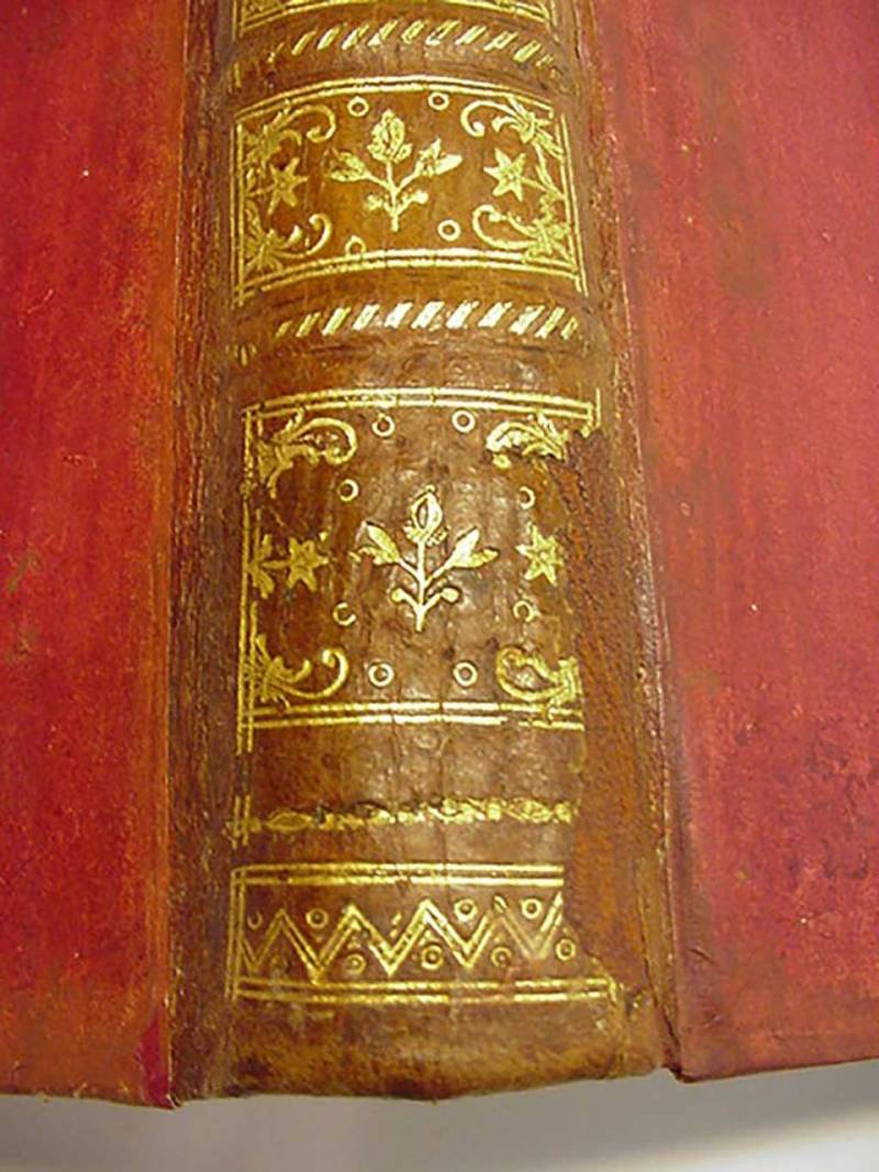 restauro-volumi-codici-membranacei-palatina-parma-1024x1365dopo02