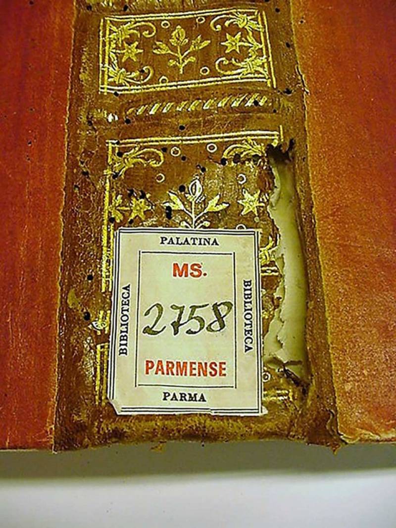 restauro-volumi-codici-membranacei-palatina-parma-1024x1365prima03