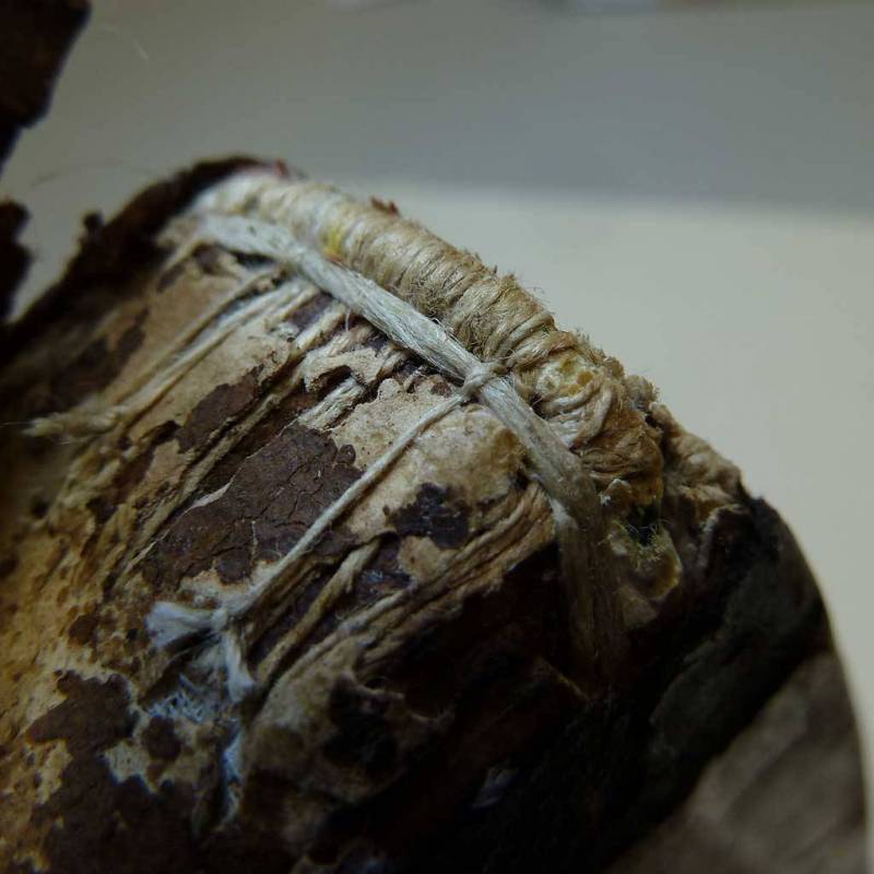 macro-02-1024x1024